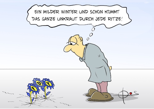 Cartoon: 20260531-UnkrautFDP (medium) by Marcus Gottfried tagged kibicki,fdp,aufwind,vorsitzender,unkraut,kraut,kibicki,fdp,aufwind,vorsitzender,unkraut,kraut