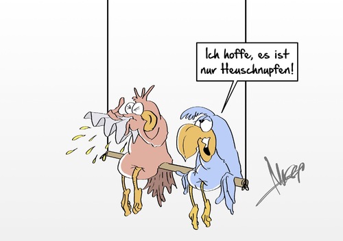 nur Heuschnupfen