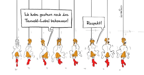 Cartoon: Tierwohl (medium) by Marcus Gottfried tagged tierwohllabel,tiere,label,kennzeichen,tierschutz,massentierhaltung,hühnerfarm,landwirtschaft,bauernhof,schlachterei,anerkennung,orden,tierwohllabel,tiere,label,kennzeichen,tierschutz,massentierhaltung,hühnerfarm,landwirtschaft,bauernhof,schlachterei,anerkennung,orden