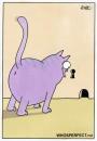 Cartoon: katze (small) by WHOSPERFECT tagged katze cat