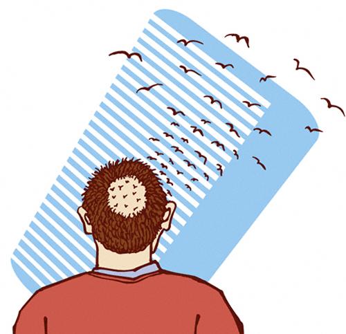 Cartoon: Flying Away (medium) by Davor tagged alopecia,hair,loss,comb,man