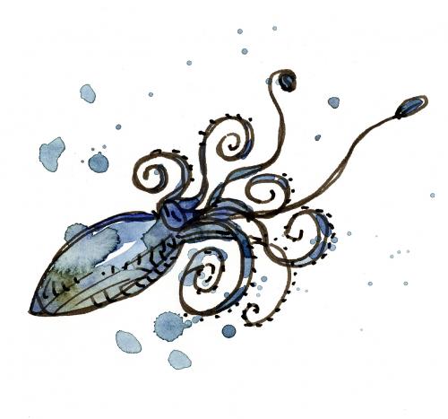 Cartoon: Kalamar (medium) by Atzenhofer tagged calamar,tintenfisch,meer,illustration,illustrationen,tintenfisch,meer,tiere,tier,wasser,lebewesen,natur,tinte,meeresfrüchte