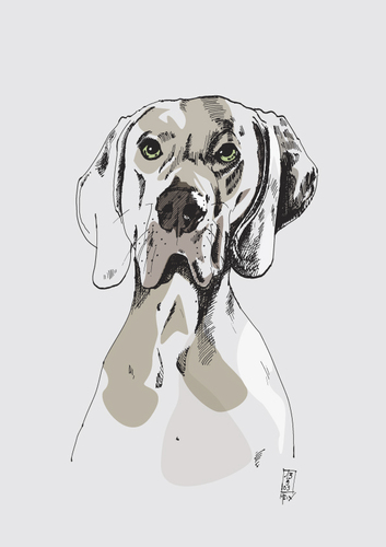 Cartoon: dog (medium) by Achatz tagged vektor,zeichnung