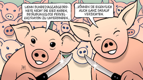 Cartoon: Bundestag und Ferkel (medium) by Harm Bengen tagged bundestagsabgeordnete,eier,hoden,betäubungslose,ferkelkastration,landwirtschaft,schweinezucht,fleisch,tierquälerei,harm,bengen,cartoon,karikatur,bundestagsabgeordnete,eier,hoden,betäubungslose,ferkelkastration,landwirtschaft,schweinezucht,fleisch,tierquälerei,harm,bengen,cartoon,karikatur