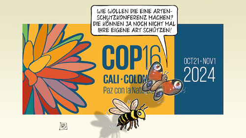 COP 16