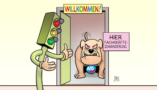 Fachkräfte und AfD