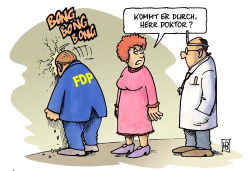 FDP-Parteitag