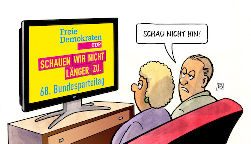 FDP schaut zu