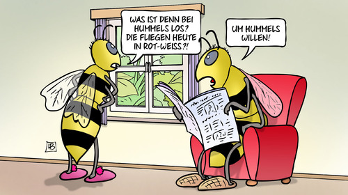 Cartoon: Hummels (medium) by Harm Bengen tagged hummels,insekten,bienen,wespen,hummeln,fliegen,heute,rot,weiss,gelb,schwarz,fussball,bundesliga,borussia,dortmund,bayern,münchen,harm,bengen,cartoon,karikatur,hummels,insekten,bienen,wespen,hummeln,fliegen,heute,rot,weiss,gelb,schwarz,fussball,bundesliga,borussia,dortmund,bayern,münchen,harm,bengen,cartoon,karikatur