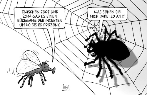 Insektenrückgang