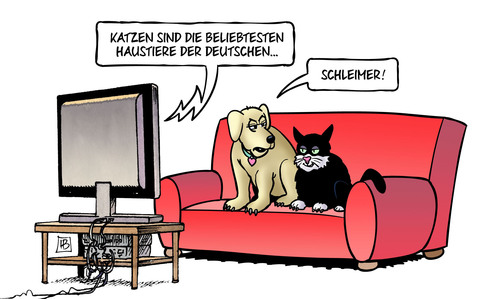 Cartoon: Katzen (medium) by Harm Bengen tagged katzen,beliebteste,haustiere,deutschland,hund,tv,sofa,schleimer,harm,bengen,cartoon,karikatur,katzen,beliebteste,haustiere,deutschland,hund,tv,sofa,schleimer,harm,bengen,cartoon,karikatur