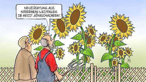 Cartoon: Königsmacherin (medium) by Harm Bengen tagged neuzüchtung,nordrhein,westfalen,königsmacherin,sonnenblumen,grüne,wahlsieg,wachstum,bauer,koalitionen,nrw,landtagswahl,harm,bengen,cartoon,karikatur,neuzüchtung,nordrhein,westfalen,königsmacherin,sonnenblumen,grüne,wahlsieg,wachstum,bauer,koalitionen,nrw,landtagswahl,harm,bengen,cartoon,karikatur