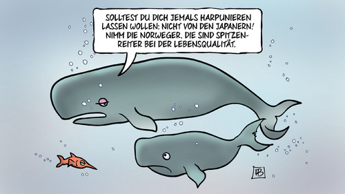 Cartoon: Lebensqualität (medium) by Harm Bengen tagged harpunieren,harpune,wale,wal,walfang,japanern,japan,norweger,norwegen,spitzenreiter,lebensqualität,studie,statistik,harm,bengen,cartoon,karikatur,harpunieren,harpune,wale,wal,walfang,japanern,japan,norweger,norwegen,spitzenreiter,lebensqualität,studie,statistik,harm,bengen,cartoon,karikatur