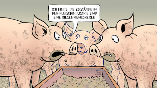 Cartoon: Menscherei (medium) by Harm Bengen tagged zustände,fleischindustrie,riesenmenscherei,menscherei,fleischverarbeitung,fleischkonzern,tönnies,ausbeutung,werksverträge,schweine,stall,krank,corona,covid19,virus,pandemie,harm,bengen,cartoon,karikatur,zustände,fleischindustrie,riesenmenscherei,menscherei,fleischverarbeitung,fleischkonzern,tönnies,ausbeutung,werksverträge,schweine,stall,krank,corona,covid19,virus,pandemie,harm,bengen,cartoon,karikatur