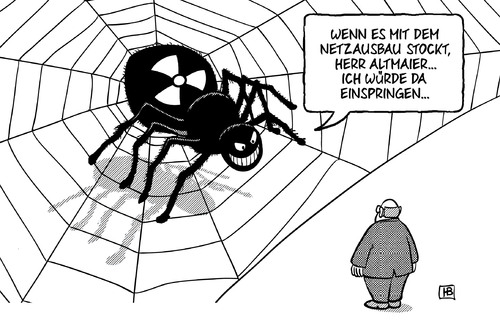 Netzausbau