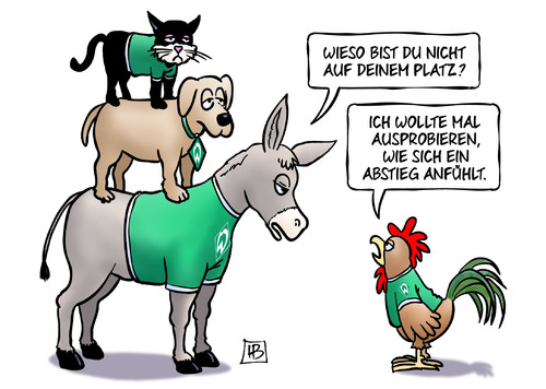 Cartoon: Probe-Abstieg (medium) by Harm Bengen tagged platz,werder,bremen,abstieg,bremer,stadtmusikanten,esel,hund,katze,hahn,fussball,bundesliga,harm,bengen,cartoon,karikatur,platz,werder,bremen,abstieg,bremer,stadtmusikanten,esel,hund,katze,hahn,fussball,bundesliga,harm,bengen,cartoon,karikatur