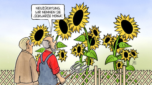 Cartoon: Schwarz-Grün-Sondierung NRW (medium) by Harm Bengen tagged neuzüchtung,schwarze,mona,neubaur,grüne,cdu,sondierungen,koalition,sonnenblumen,harm,bengen,cartoon,karikatur,neuzüchtung,schwarze,mona,neubaur,grüne,cdu,sondierungen,koalition,sonnenblumen,harm,bengen,cartoon,karikatur