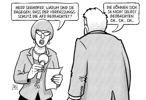 Seehofer und AfD