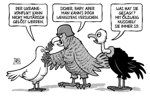 Taube-Falke-Geier