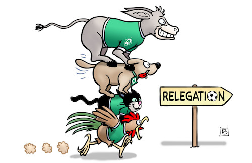 Cartoon: Werder steht Kopf (medium) by Harm Bengen tagged relegation,werder,bremen,steht,kopf,fussball,bremer,stadtmusikanten,bundesliga,abstieg,aufstieg,harm,bengen,cartoon,karikatur,relegation,werder,bremen,steht,kopf,fussball,bremer,stadtmusikanten,bundesliga,abstieg,aufstieg,harm,bengen,cartoon,karikatur