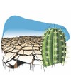 Cartoon: Waterless (small) by Alexandru Ifrim tagged cactus waterless deseer illustration earth