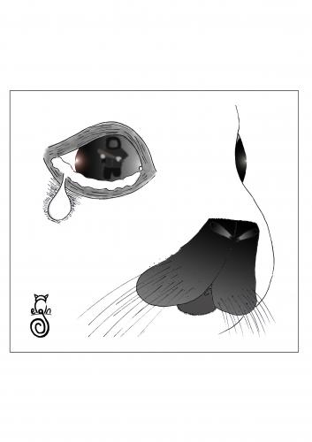 Cartoon: tear of the seal (medium) by MelgiN tagged seal,crime,slaughter,cartoon
