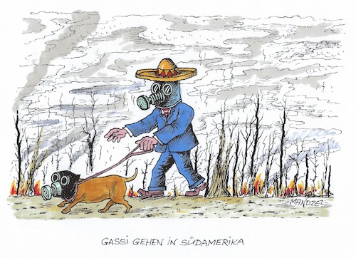 Cartoon: Feuer im Amazonasbecken (medium) by mandzel tagged regenwald,feuer,klima,umwelt,brandstiftungen,sauerstoffnot,regenwald,feuer,klima,umwelt,brandstiftungen,sauerstoffnot