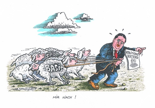 Cartoon: Gabriel weist den Weg ! (medium) by mandzel tagged schafe,gabriel,koalitionsvertrag,basis,spd,spd,basis,koalitionsvertrag,gabriel,schafe