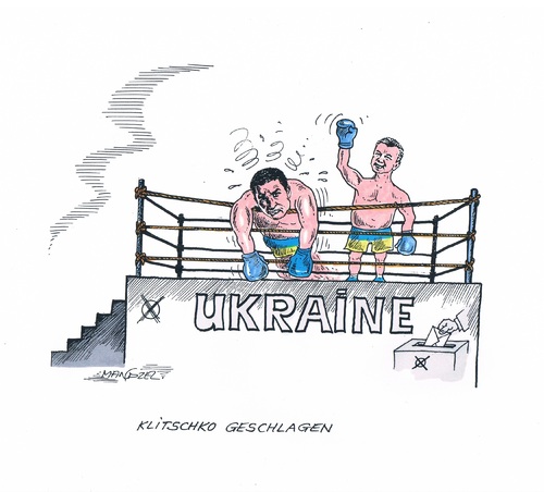 Cartoon: Klitschko geschlagen (medium) by mandzel tagged klitschko,ukraine,boxring,niederlage,wahlen,klitschko,ukraine,boxring,niederlage,wahlen