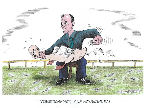 Cartoon: Martinsgans (medium) by mandzel tagged scholz,kanzler,merz,politik,spd,cdu,deutschland,chaos,neuwahlen,scholz,kanzler,merz,politik,spd,cdu,deutschland,chaos,neuwahlen