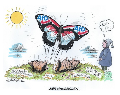 Metamorphose