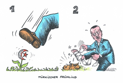 Cartoon: Türkischer Frühling (medium) by mandzel tagged türkei,erdogan,proteste,niedertreten,verletzung,türkei,erdogan,proteste,niedertreten,verletzung