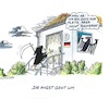 Cartoon: Vogelgrippe (small) by mandzel tagged vogelsterben,deutschland,finanzen,bundesadler