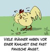 Cartoon: Kahlheit (small) by Andreas Pfeifle tagged hahn,glatze,kahl,panik,trauer,feder,haarausfall