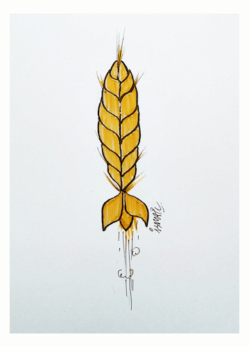 Cartoon: The wheat war (medium) by ismail dogan tagged ukrainian,wheat