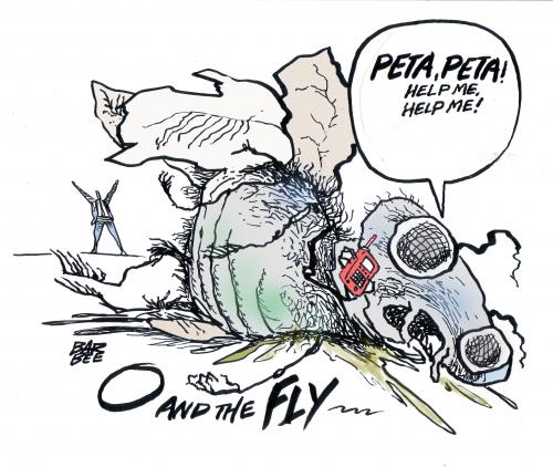 Cartoon: the FLY (medium) by barbeefish tagged peta