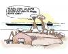 Cartoon: high seas enterprise (small) by barbeefish tagged somalia