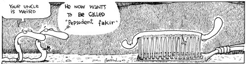 Cartoon: Fakir (medium) by Garrincha tagged comic,strips