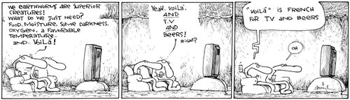 Cartoon: Oui monsieur (medium) by Garrincha tagged comic,strips