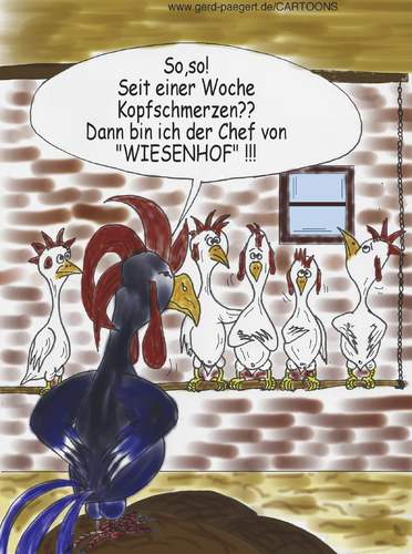 Cartoon: Hühnerproblem (medium) by boogieplayer tagged tierisch