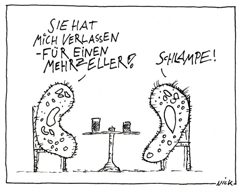 Cartoon: Einzeller wieder Single (medium) by Oliver Kock tagged freundschaft,kneipe,schlampe,mehrzeller,liebe,betrug,verlust,mahrzeller,einzeller