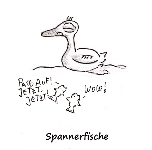Cartoon: Spannerfische (medium) by Oliver Kock tagged ente,fische,spanner,natur,wasser,neugier,voyeur