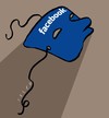 Cartoon: Facebook (small) by alexfalcocartoons tagged facebook