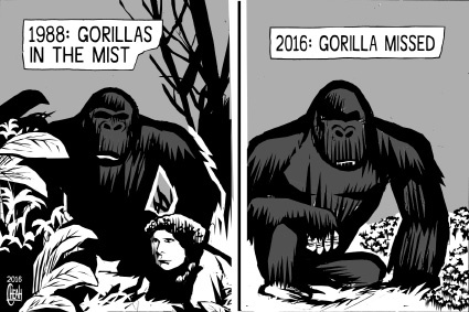 Cartoon: Harambe the gorilla (medium) by sinann tagged gorilla,harambe,mist,missed,death,killed