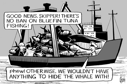 Cartoon: Tuna fishing ban (medium) by sinann tagged bluefin,tuna,ban,whale