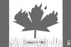 Cartoon: Canada fires (small) by sinann tagged canada fires wildfires