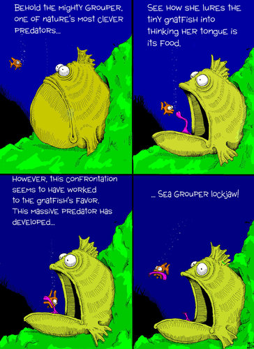 Cartoon: Grouper (medium) by Macawrena tagged sea,level