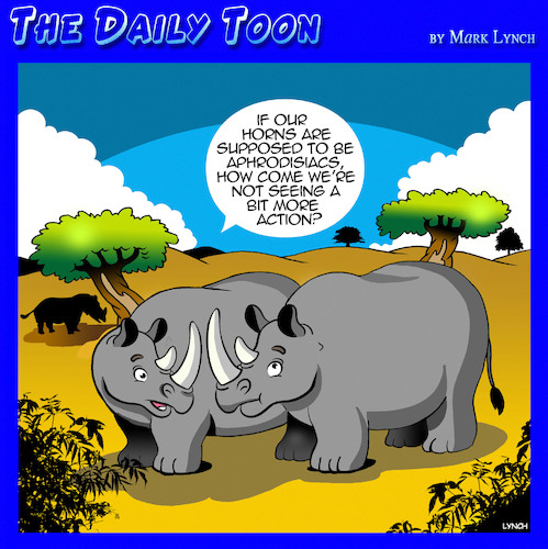 Cartoon: Aphrodisiacs (medium) by toons tagged rhinos,aphrodisiac,horny,african,animals,rhinos,aphrodisiac,horny,african,animals