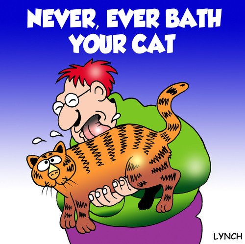 Cartoon: bath your cat (medium) by toons tagged cats,felines,bathing,shower,animals