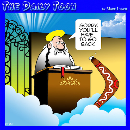 Cartoon: Boomerang heaven (medium) by toons tagged boomerangs,saint,peter,gates,of,heaven,boomerangs,saint,peter,gates,of,heaven